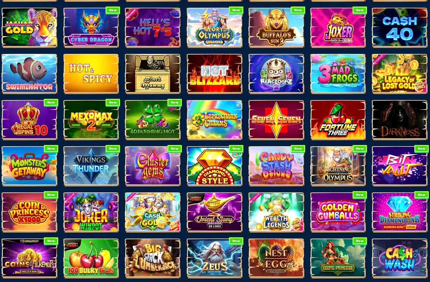 Datenschutz und Sicherheit bei Lucky Elf Casino